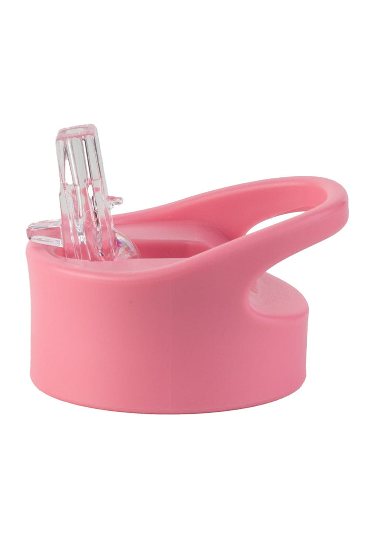 Flask Straw Lid Lizzard flask Pink / One Size