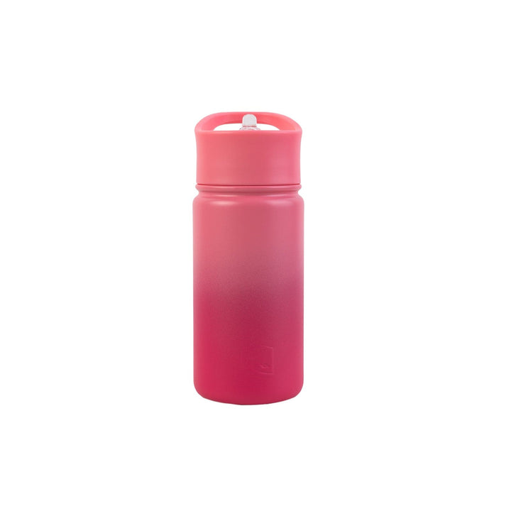 Lizzard Flask 415Ml With Straw Lid Lizzard flask Pink/Raspberry / One Size