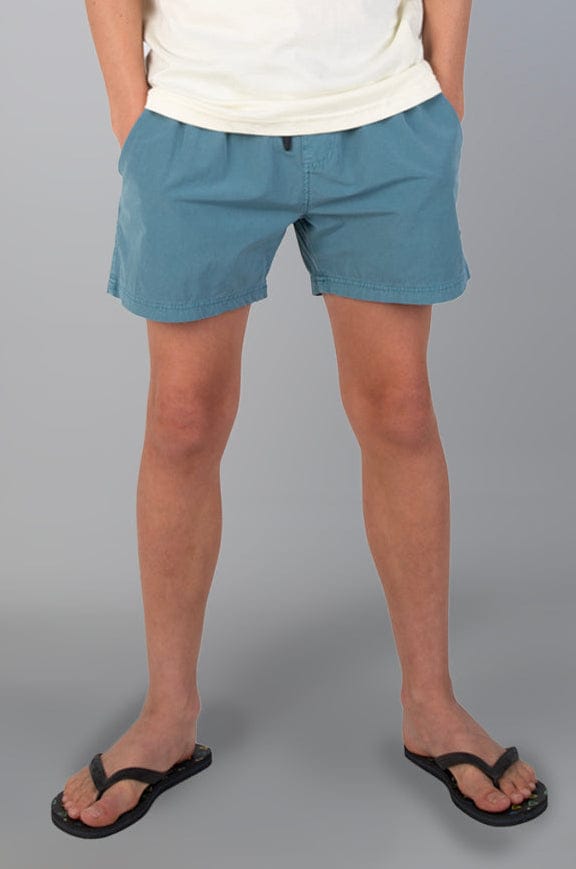 Mchaut - Teen Boys Boardie Lizzard apparel Smoke Blue / 6/7