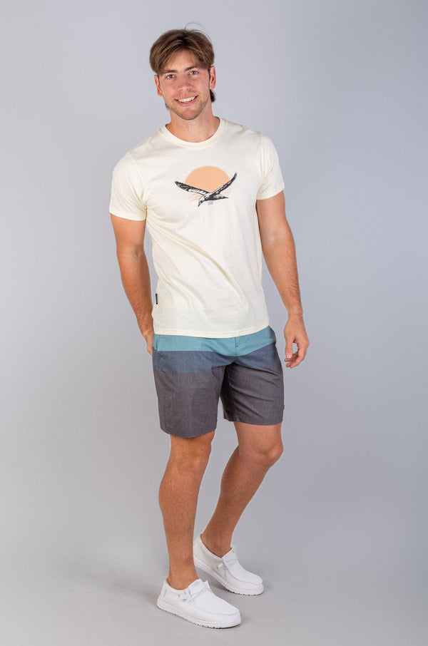 Papoi - Mens Fixed Boardie Lizzard apparel Ocean Stripe / 28