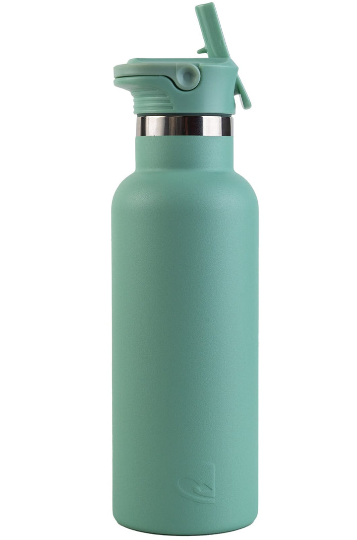 The Bottle 500Ml Lizzard flask