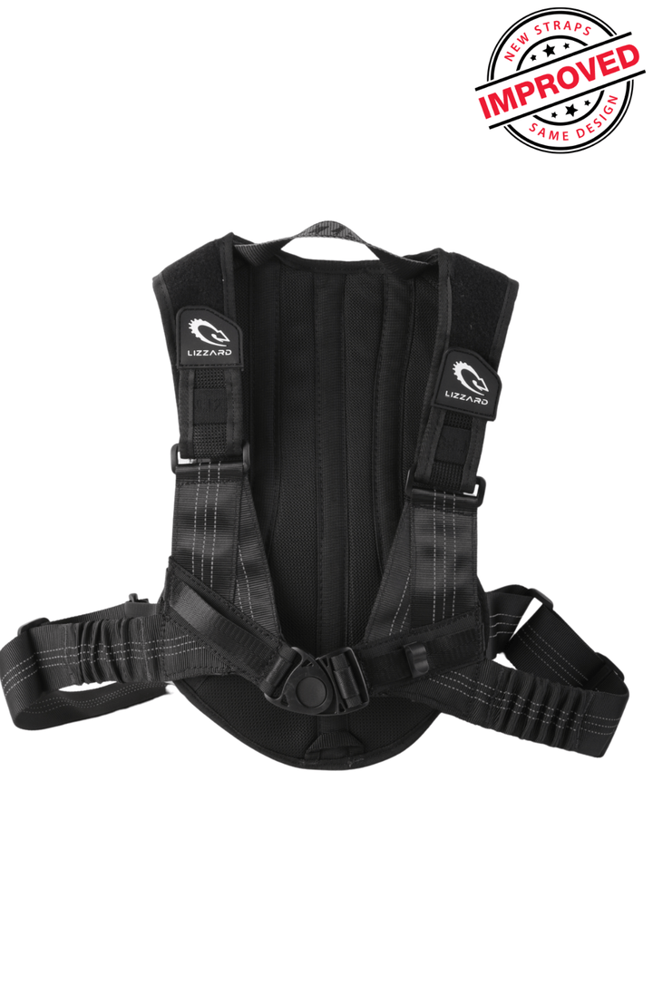 Wildboy - Backpack Lizzard bike